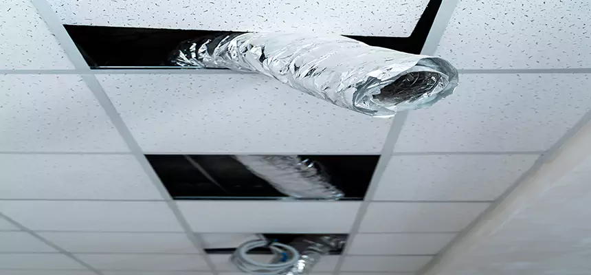 Our Air Duct Pet Hair Removal Services in Beaumont, TX