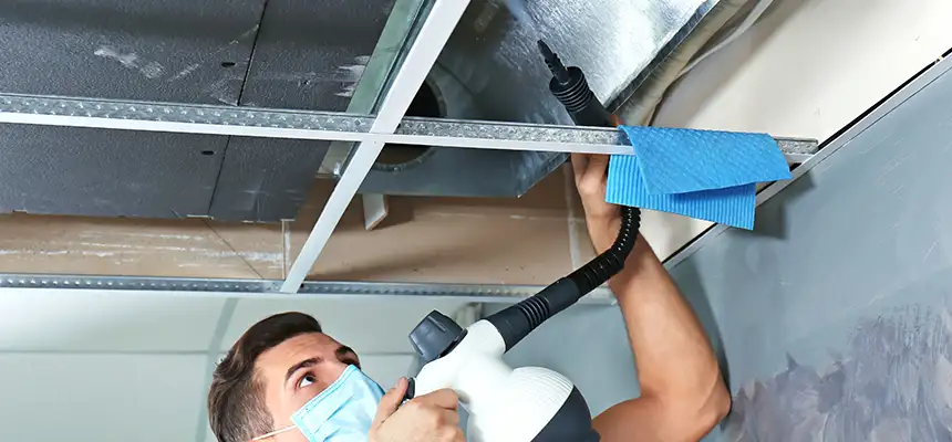 Our Air Duct Rodent Removal Services in Beaumont, TX