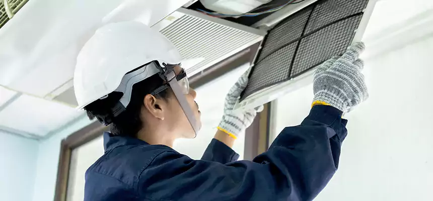 Our Mold & Mildew Removal from Air Ducts Services in Beaumont, TX