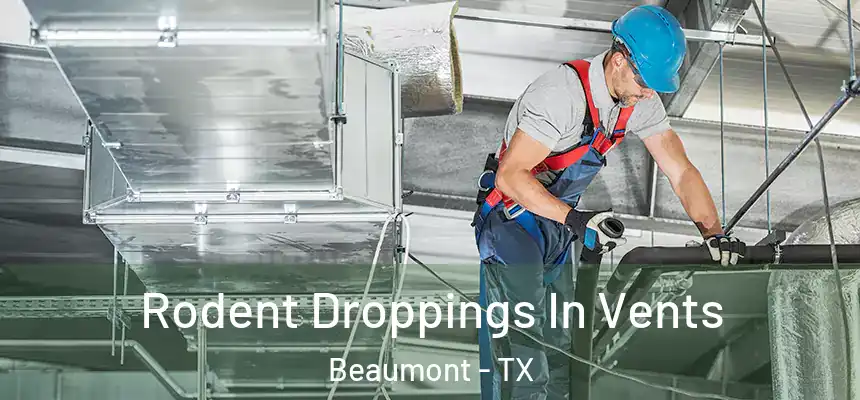 Rodent Droppings In Vents Beaumont - TX