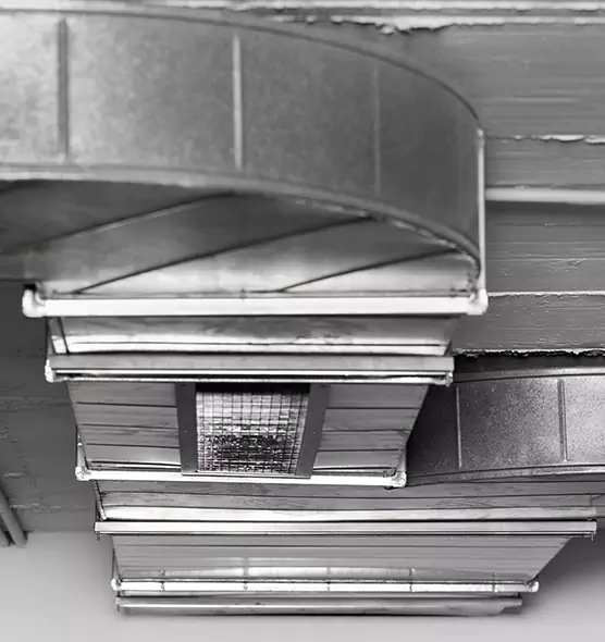 Professional Air Duct Pet Hair Removal in Beaumont, TX