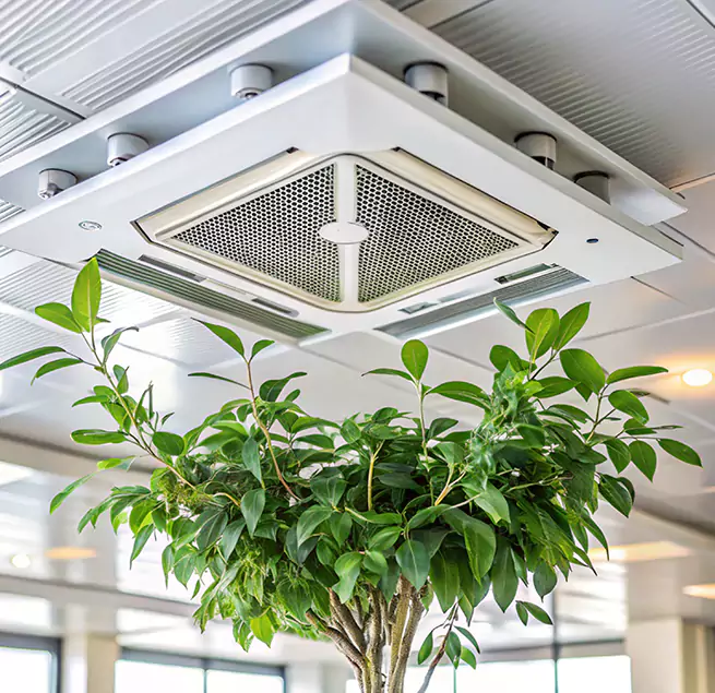 Why Homeowners & Businesses Trust Us in Beaumont, TX