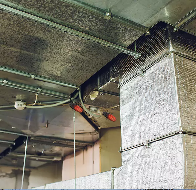 Why Homeowners & Businesses Trust Us Beaumont, TX?