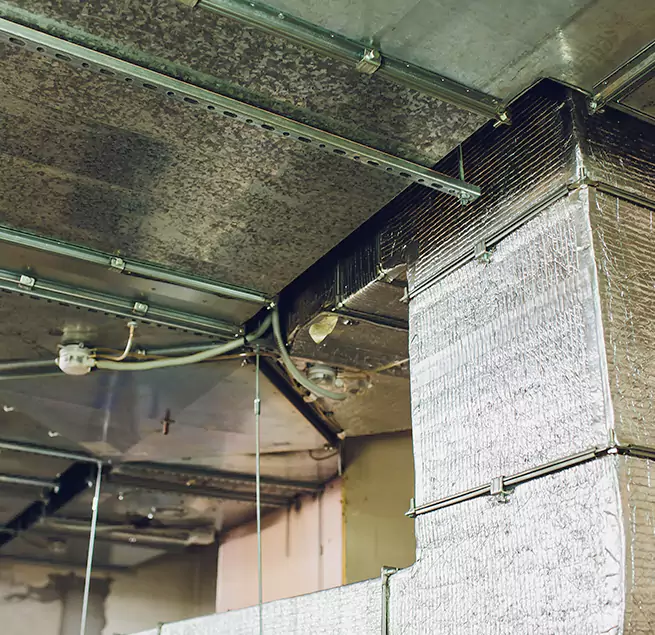 Why Homeowners & Businesses Trust Us in Beaumont, TX?